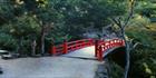 Japan (PB00 6116)