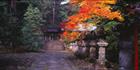 Nikko - Japan (PB00 6128)