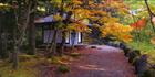 Nikko - Japan (PB00 6131)