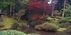 Nikko - Japan (PB00 6135)