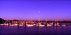 Keppel Bay Marina Sunrise - QLD (PB00 4751)