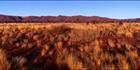 Kings Canyon from West 3 - NT (PB00 2202)