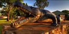 Kris Crocodile - QLD T (PBH3 00 12877)