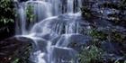 Lamington Waterfall (PB00 1961)