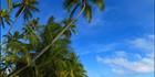Les Tipanes - Moorea (PBH3 00 1470)