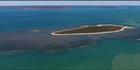 Lesueur Island - WA (PBH3 00 12064)