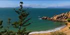 Magnetic Island - QLD (PBH3 00 2447)