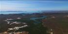 Mangroves - Derby - WA T (PBH3 00 10696)