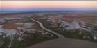 Mangroves - Derby - WA T (PBH3 00 10732)