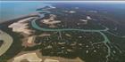 Mangroves - Derby - WA T (PBH3 00 10737)