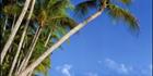 Trinity Beach - Cairns - QLD