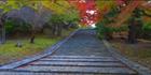 Nara - Japan H (PBH3 00 0065)