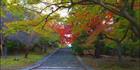 Nara - Japan SQ (PBH3 00 0065)