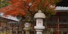 Nara - Japan SQ (PBH3 00 0091)
