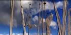 Prayer Flags H2 (PBH3 00 23847)