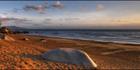 Quarantine Bay - QLD (PBH3 00  13425)