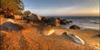 Quarantine Bay - QLD (PBH3 00  13431)