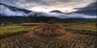Red Rice - Punakha SQ (PBH3 00  24265)