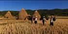Rice Harvesting  (PBH3 00 14190)