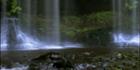 Russell Falls - Mount  Field NP - TAS (PB00 1934)