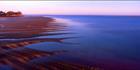 Sand Fingers - Hervey Bay - QLD (PB00 4775)