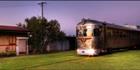 Savannahlander - QLD (PBH3 00  13207)