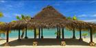 Shade - Aitutaki - (PBH3 00 1299)