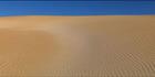 Sheringa Dunes - SA (PBH3 00 26050)