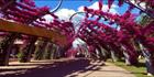 Southbank Arbour 3 (PB 002924)