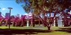 Southbank Arbour 6 (PB 002961)