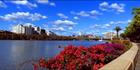 Southbank and Brisbane River - QLD (PB 002928)