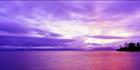Swansea Sunrise (PB00 5501)