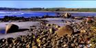 Tauranga Bay - NZ (PB00 2786)