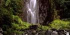 Thunder Creek Falls - NZ (PB00 2836)