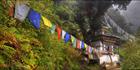 Tigers Nest Walk T (PBH3 00 24396)