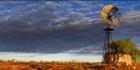 Windmill - Cradock - SA (PBH3 00 19118)